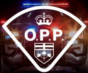 opp lights logo