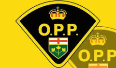 opp yellow