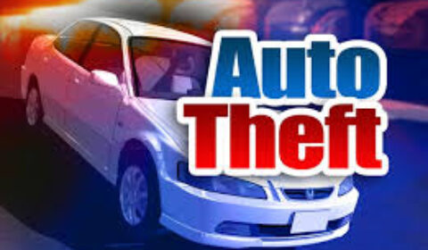 auto theft image