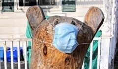 bear necessities front
