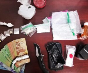 hvl drugs friday one