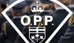 opp bw