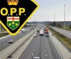 opp highway