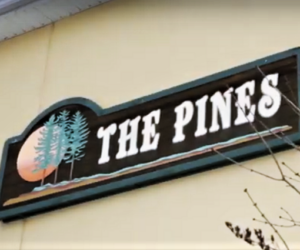 pines logo