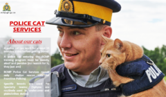 police cat