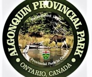algonquin park badge