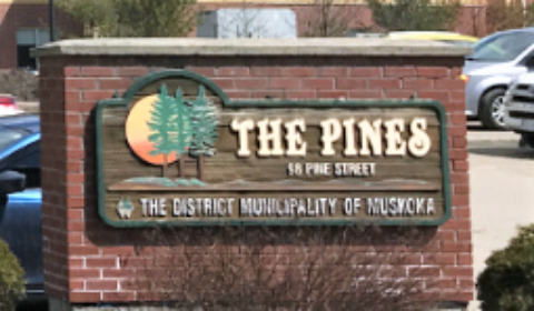 pines new 2020 front