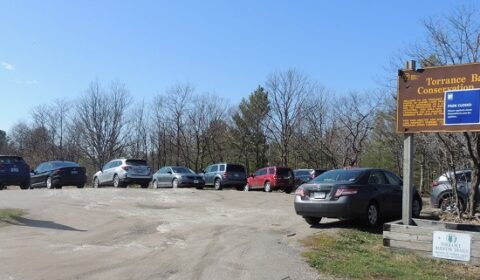 torrance barrens parking lot