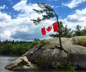mcrae lake flag