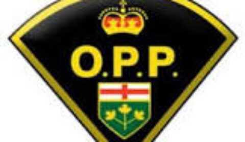 opp logo