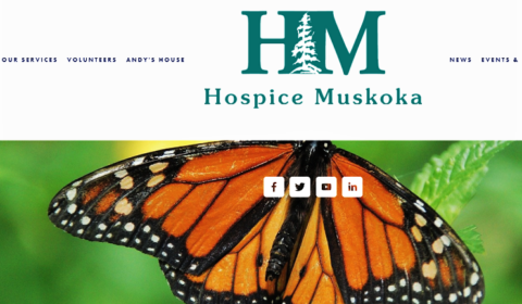 butterfly hospice logo