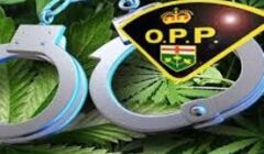 opp drug graphic today