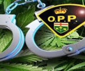 opp drug graphic today