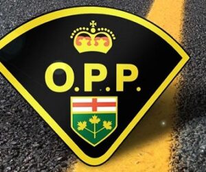 opp yellow line large