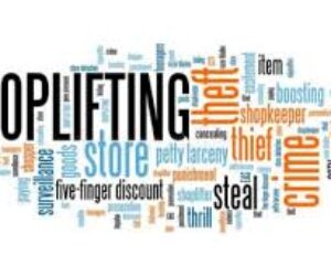 shoplifting image