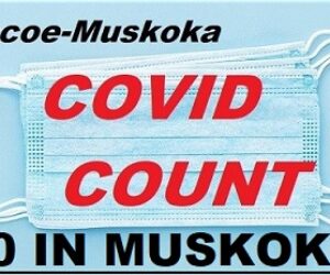 covid count front numbers