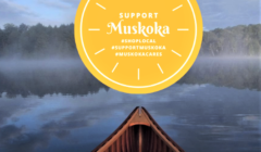 september support biz 2