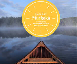 september support biz 2