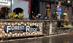 IMG_7135 (3)