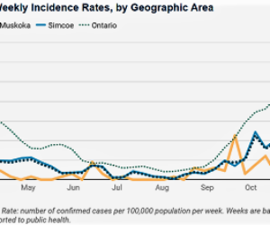 weekly incidence front