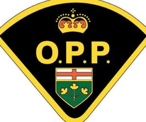 opp best logo