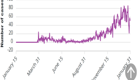 jan 31 past year graph front