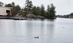 IMG_0821 (2)