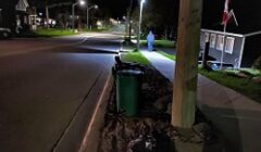 IMG_2109 (3)