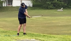 golf shot front