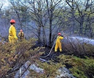 may 16 fire one front