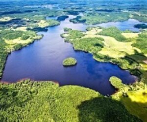 Three_Mile_Lake_Muskoka front