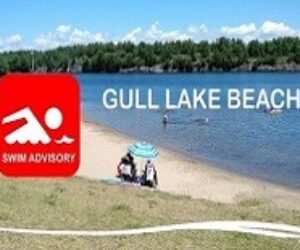 gull lake swim advisory small