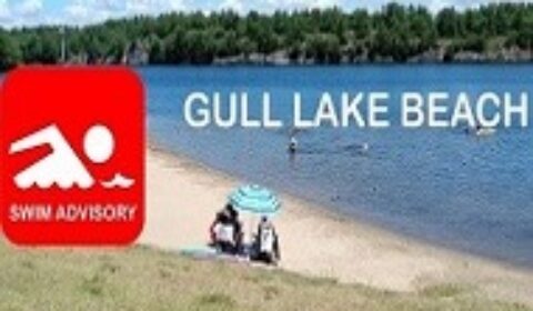 gull lake swim advisory small