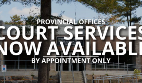 local court services open 2