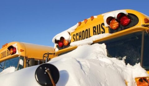 school buses snow