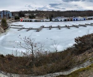 IMG_2101 (4)