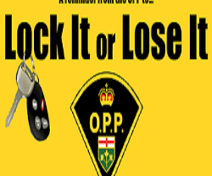 OPP-LOCK-IT-OR-LOSE-IT