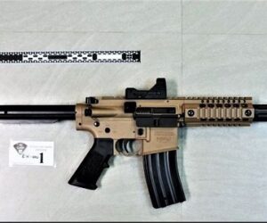 hvl gun friday front