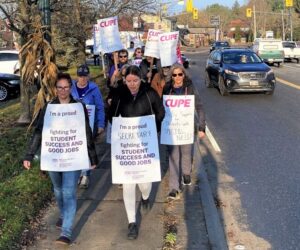 cupe 4 front