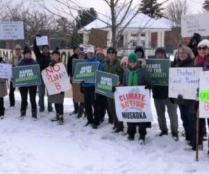 greens bill 23
