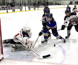 bobby gauthier 740 final 2