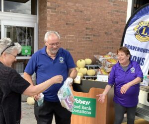 lois lions front best