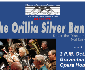 silver band poster large FRONT