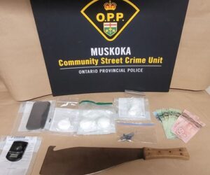 drug seizure sk front 2