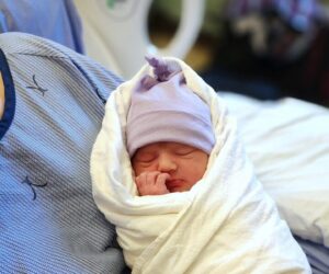 Halle Shay Nichols - HDMH