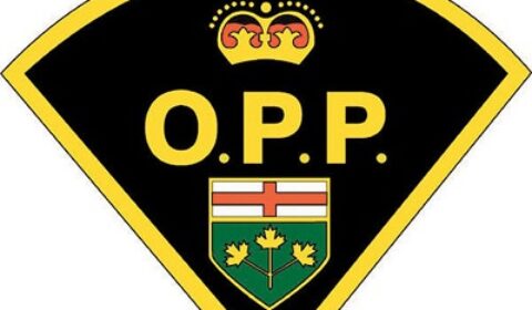 opp best logo