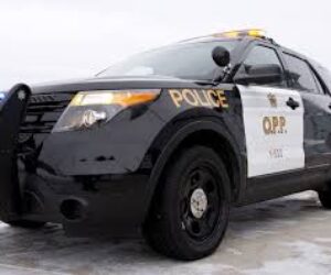 opp bumper