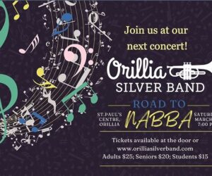 silver poster 2