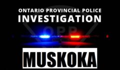 opp investigtion logo