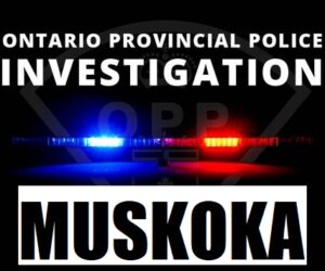 opp investigtion logo